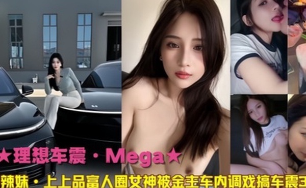 理想车震Mega宝岛辣妹上上品富人圈女神被金主车内调戏搞车震3部曲